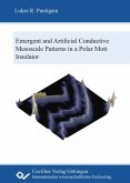 Emergent and artificial conductive mesoscale patterns in a polar Mott insulator (eBook, PDF)