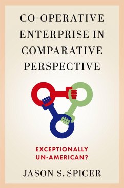 Cover Co-operative Enterprise in Comparative Perspective (eBook, PDF)