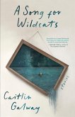 A Song for Wildcats (eBook, ePUB)