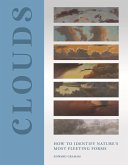 Clouds (eBook, ePUB)