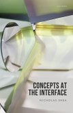Concepts at the Interface (eBook, PDF)