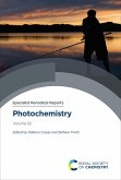Photochemistry (eBook, ePUB)