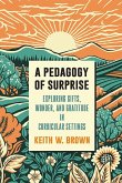 A Pedagogy of Surprise (eBook, ePUB)