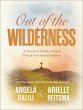 Out of the Wilderness (eBook, ePUB) - Bild 1
