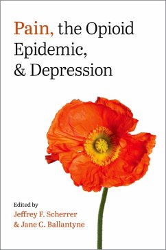 Cover Pain, the Opioid Epidemic, and Depression (eBook, PDF)
