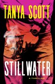 Stillwater (eBook, ePUB)