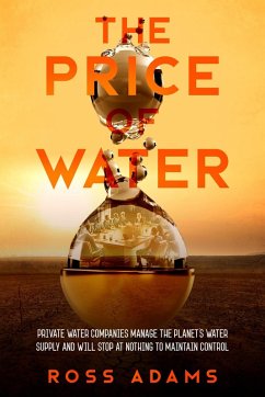 Cover The Price of Water (eBook, ePUB)