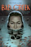 Bad Creek (eBook, ePUB) Bad Creek (eBook, ePUB)