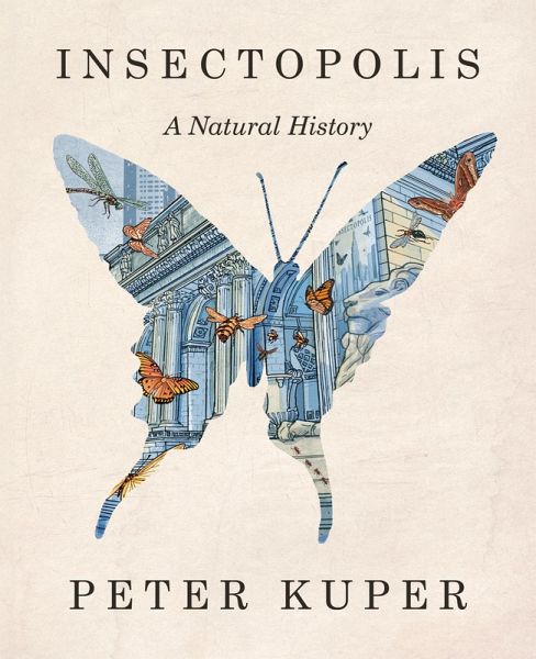 Insectopolis (eBook, ePUB)