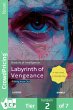Labyrinth of Vengeance (eBook, ePUB) - Bild 1