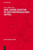 Der junge Goethe im zeitgenössischen Urteil (eBook, PDF)