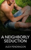 A Neighborly Seduction (eBook, ePUB) A Neighborly Seduction (eBook, ePUB)