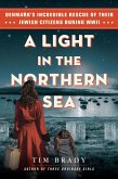 A Light in the Northern Sea (eBook, ePUB)