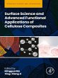 Surface Science and Advanced Functional... - Bild 1
