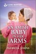 An Amish Baby in Her Arms (eBook, ePUB) - Bild 1