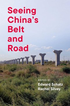 Seeing China's Belt and Road (eBook, ePUB)