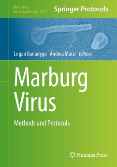 Marburg Virus (eBook, PDF)