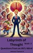 Labyrinth of Thought Questions from an... - Bild 1