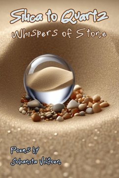 Cover Silica to Quartz (eBook, ePUB)