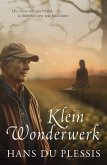 Klein wonderwerk (eBook, ePUB)