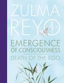 Emergence of Consciousness (eBook, ePUB)