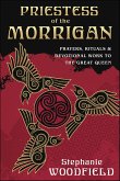 Priestess of The Morrigan (eBook, ePUB)