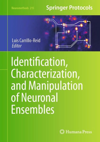 Identification, Characterization, and Manipulation of Neuronal Ensembles (eBook, PDF)
