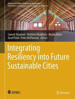 Cover Integrating Resiliency into Future Sustainable Cities (eBook, PDF)