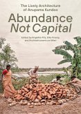 Abundance Not Capital (eBook, ePUB)