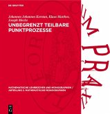 Unbegrenzt teilbare Punktprozesse (eBook, PDF)