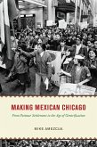 Making Mexican Chicago (eBook, ePUB)