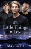 The Little Things in Love (eBook, ePUB)
