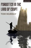 Forgotten In The Land Of Egypt (eBook, PDF)