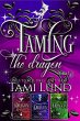 Taming the Dragon (eBook, ePUB) - Bild 1