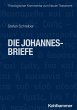 Die Johannesbriefe (eBook, PDF) - Bild 1