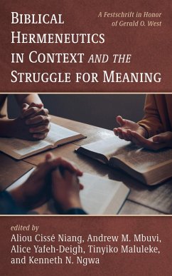 Biblical Hermeneutics in Context and the Struggle for Meaning (eBook, ePUB)