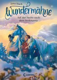 Auf der Suche nach dem Seelenpony / Wundermähne Bd.2 (eBook, ePUB)