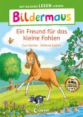 Bildermaus - Ein Freund für das kleine Fohlen (eBook, ePUB)