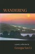 WANDERING (eBook, ePUB) - Bild 1