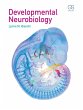 Developmental Neurobiology (eBook, ePUB) - Bild 1