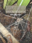 Spider Webs (eBook, ePUB)