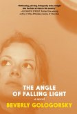 The Angle of Falling Light (eBook, ePUB)