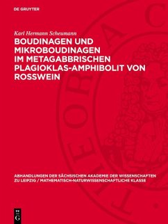 Cover Boudinagen und Mikroboudinagen im metagabbrischen Plagioklas-Amphibolit von Rosswein (eBook, PDF)