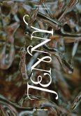 JENNY. Ausgabe 11 (eBook, PDF)