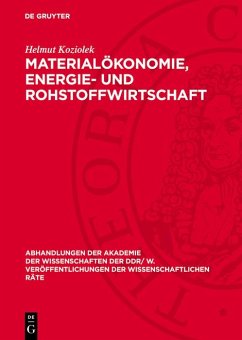 Cover Materialökonomie, Energie- und Rohstoffwirtschaft (eBook, PDF)
