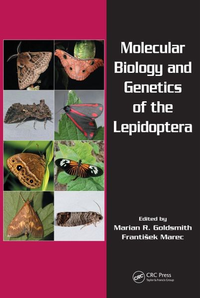 Molecular Biology and Genetics of the Lepidoptera (eBook, ePUB)