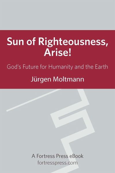 Sun of Righteousness Arise (eBook, ePUB)