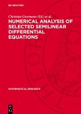 Numerical Analysis of Selected Semilinear Differential Equations (eBook, PDF)
