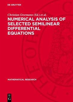 Numerical Analysis of Selected Semilinear Differential Equations (eBook, PDF)