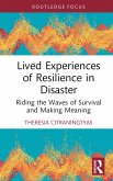 Lived Experiences of Resilience in Disaster (eBook, PDF)